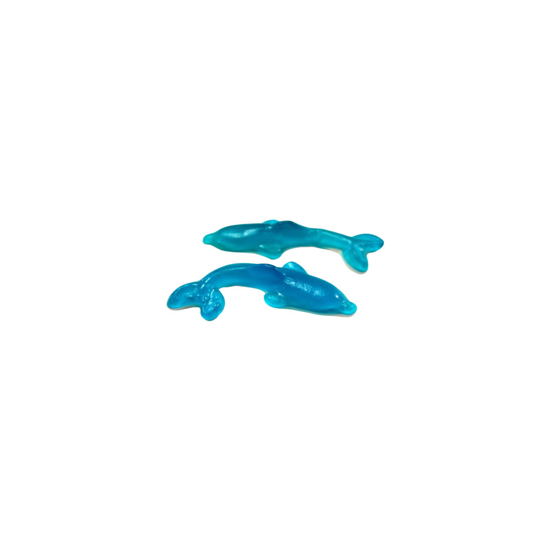 Giant Dolphins